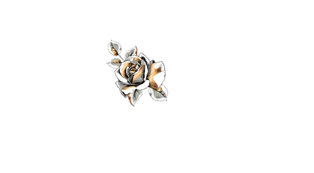 Neva Altaj Mafia Romance Author